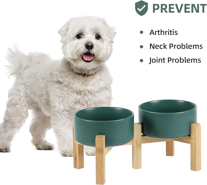Havniva Ceramic Raised Double Bowls Set with Stand, 2 Heights Elevated, Food & Water Bowls for Small Breed Dogs, Weighted Dog Dishes, Pet Bowl(6.1'',28.7oz, Green)