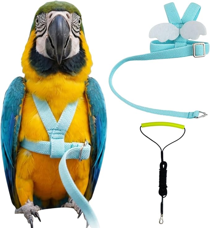 Adjustable Bird Harness with Elastic Leash, Pet Parrot Harness and Leash, Adjustable Training Design Anti-Bite, Bird Nylon Rope with Cute Wing for Conure (Lake Blue,Macaw)