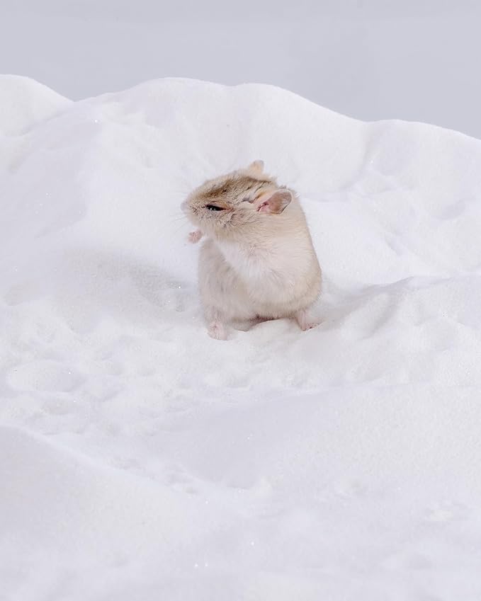 Niteangel Hamster Desert Bath Sand | No-Dust Bath or Potty Litter for Hamster Chinchillas Gerbil Mice Degu or Other Small Pets (White Sand, 2.5LB/40oz)