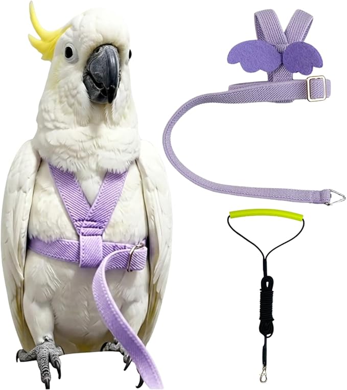 Adjustable Bird Harness with Elastic Leash, Pet Parrot Harness and Leash, Adjustable Training Design Anti-Bite, Bird Nylon Rope with Cute Wing for Conure (Purple,Sulphur-Crested Cockatoo)