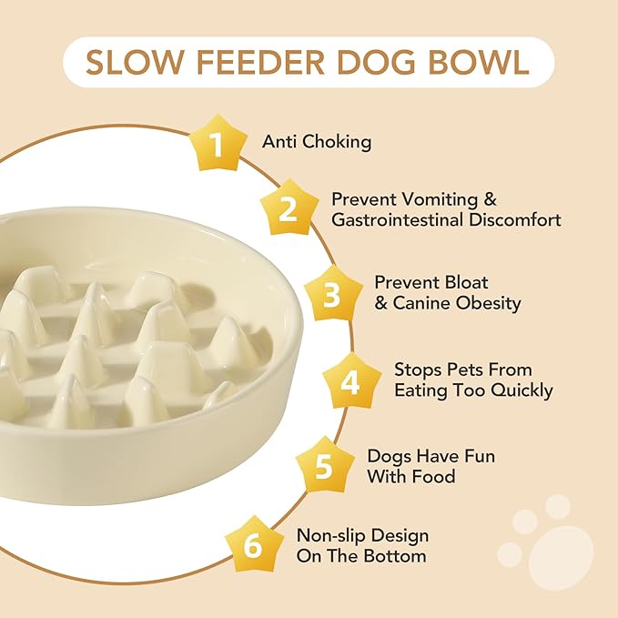 Havniva Ceramic 3.2 Cup Raised Slow Feeder Dog Bowl Set, Elevated 8.2inch Bowl and 9.5inch Slow Pet Food Dish with Wooden Stand for Large Dog (2 xLight Yellow+ Stand)