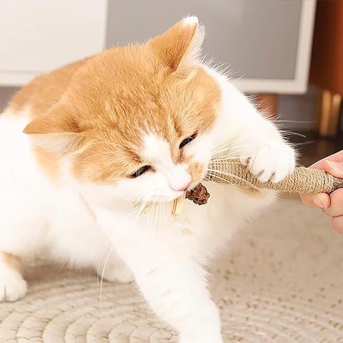 Silvervine Sticks for Cats,Cat Chew Toy for Dental Care,Silver Vine Sticks Cat,Natural Catnip Chew Toys for Kittens Teeth Cleaning,Cat Chew Sticks for Chewers,Edible Matatabi Cat Chew Sticks Toys