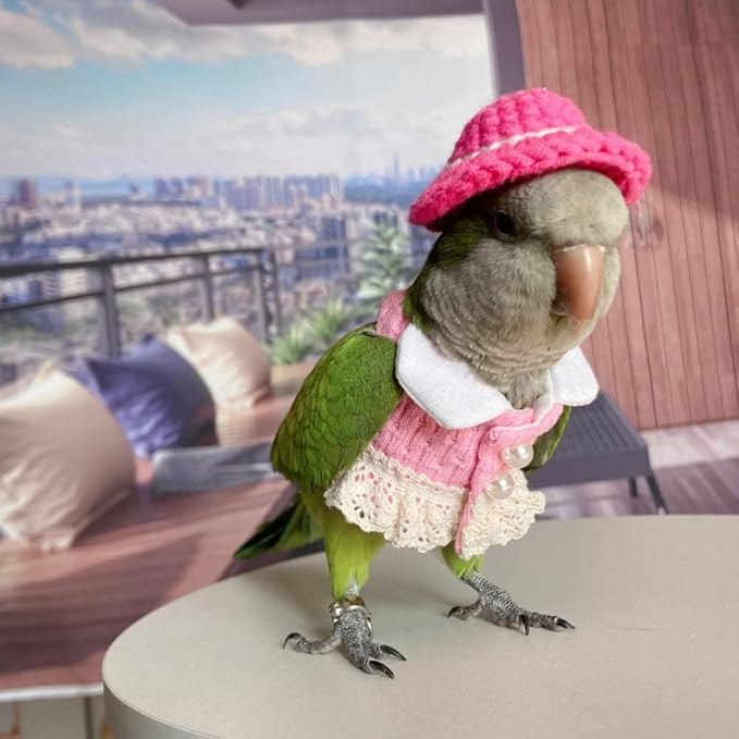 African Grey Bird Diaper Flight Suit - Pink Top Cosplay Photo Prop for Parrots, Lovebirds, Parakeets & Cockatiels