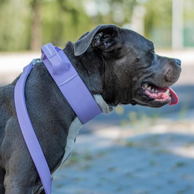 Spark Paws Tactical Dog Collar - Heavy Duty, Premium Quality, Thick and Durable for Large and Medium Dogs - Purple - L