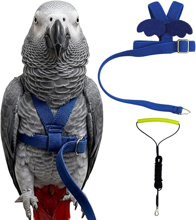 Adjustable Bird Harness with Elastic Leash, Pet Parrot Harness and Leash, Adjustable Training Design Anti-Bite, Bird Nylon Rope with Cute Wing for Conure (Deep Blue,XXL)