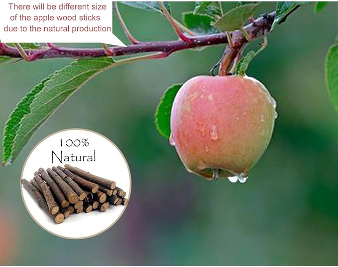 Organic Apple Sticks for Rabbits Wood Tree Branches Pet Snacks Chew Toys Branch for Guinea Pigs Chinchilla Squirrel Bunny Hamster Small Animals Teeth Grinding