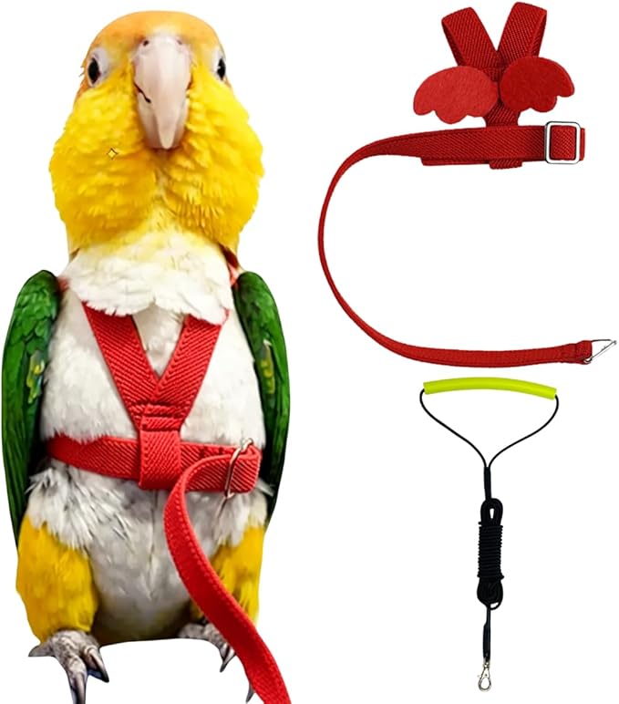 Adjustable Bird Harness with Elastic Leash, Pet Parrot Harness and Leash, Adjustable Training Design Anti-Bite, Bird Nylon Rope with Cute Wing for Conure (Red,XL)