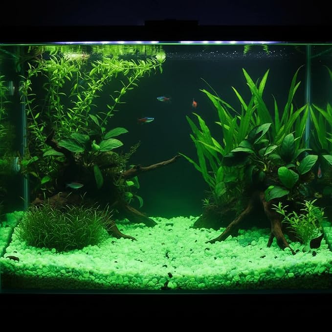 Shiny Stone Glow in The Dark Aquarium Neon Gravel Sand, Decorative Rocks for Fish Tank and Fairy Garden, Home Dec,305g/0.67lbs (Yellow Green, 5-8mm)