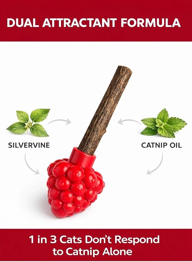 Cat Dental Teether Toy with Silvervine Chew Stick - Rubber Berry Holder with Catnip Oil Infused Matatabi Stick for Teeth Cleaning - Kitten Teething Toy for Indoor Cats (1 Teether + 1 Stick)