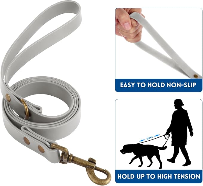 Wisedog Waterproof Dog Collar and Leash Set, Grey, Large | Adjustable Puppy Collar, Cute Tag, 5FT Leash, Includes Poop Bag, For Small Medium Large Dogs
