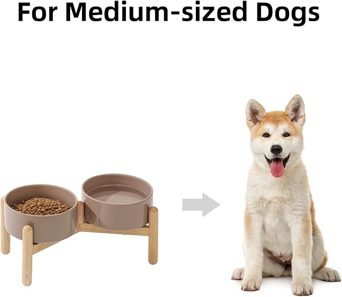 Havniva Ceramic 6.1inch Raised Dog Bowl with Stand for Small and Medium Breed Dog Dish Pet Food and Water Bowl (Double Bowl with Stand - Brown Coffee, 28oz)