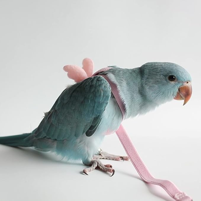 Pet Parrot Bird Harness Leash Adjustable Bird Flying Harness Traction Rope with Cute for Parrots Budgerigar Lovebird Cockatiel Mynah Outdoor Training Toy (Mannikin/Finch,Pink)