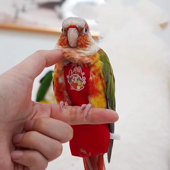 MANON ROSA Bird Diapers Leash Set Washable Reusable Handmade Flight Suit Waterproof Inner Layer - Protective Parrot Nappy Clothes Parakeets Macaws Budgies Canaries (Red2,Zebra Finch)