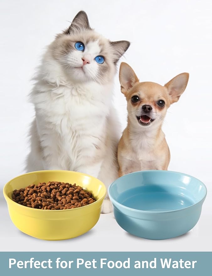 5.3 Inch Blue and Yellow Ceramic Small Dog Bowl Sets - Porcelain Wide Mouth Cat Food or Water Bowls, Cute Feeding Bowls for Indoor Small Size Dog, for Wet or Dry Food