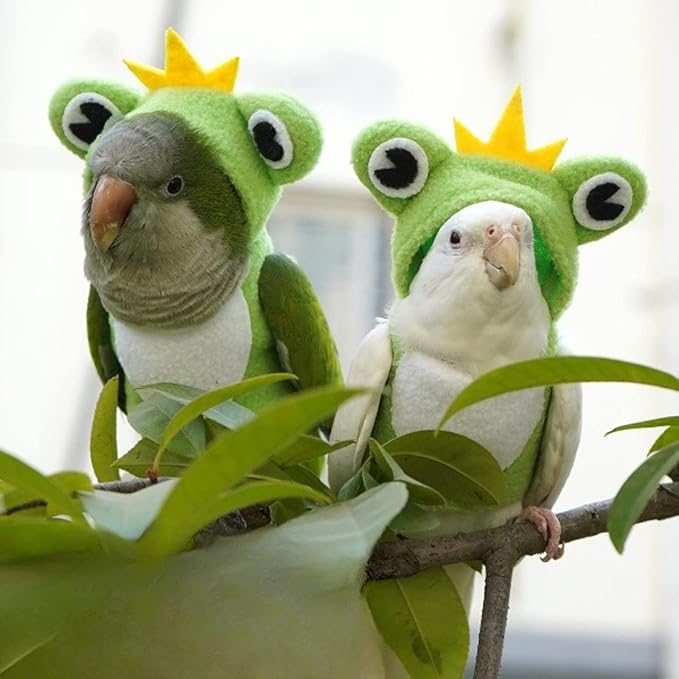 Bird Costume Diaper Flight Suit Frog Shape Hoodie Clothes Cosplay Photo Prop for Parrots Parakeet Cockatiel Sun Conure, Small Animals Apparel (Pink Without Diaper, Medium), Green