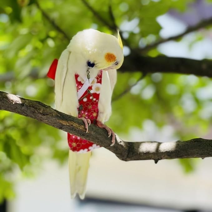 Bird Diaper Parrot Washable Diapers, Parrot Flight Suit, Reusable Nappies for Parakeet Cockatiel Mini Macaw Budgie Conure Lovebird (Red,M)