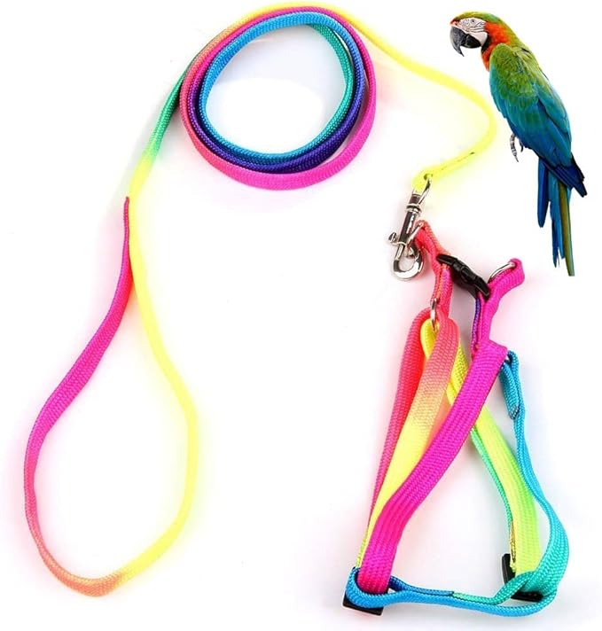 Hypeety Pet Bird Harness and Leash with Buckle Adorable Rainbow Design Safe Parrot Leash Pet Harness Outdoor Adjustable Anti Bite Training Rope for Macaw Large Size Bird (1.5cm × 47.24in)
