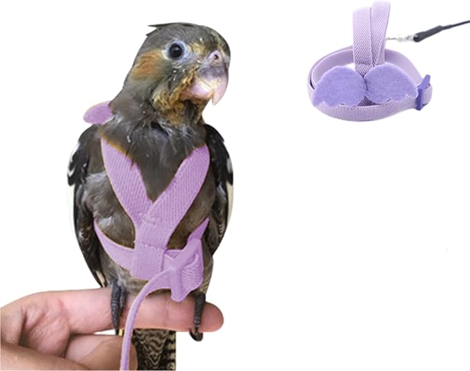 Bird Harness Parrot Leash -Adjustable Outdoor Flying Kit for Parrot Budgie Lovebird Cockatiel Macaw Parakeet (Purple,L)