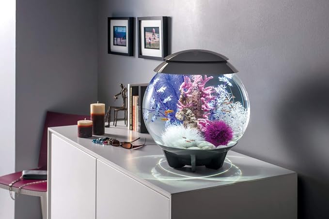 BiOrb 46080.0 Kelp Set Medium Purple Aquariums