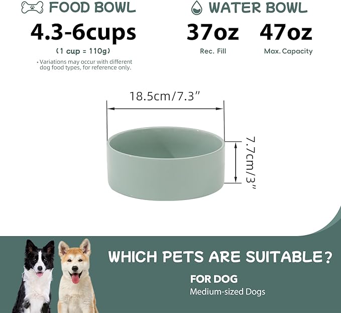 Havniva Ceramic 7.3inch Dog Bowl, Food and Water Bowl for Medium Breed Dog, Pet Feeder for Replacement (Single Bowl, Light Green)