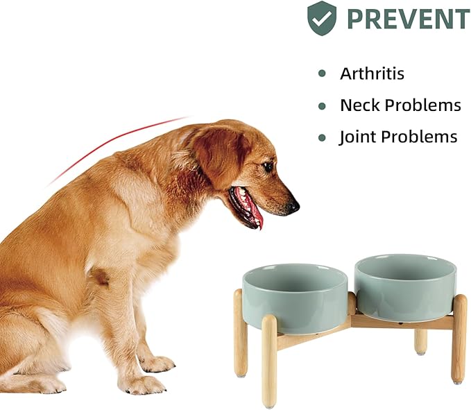 Havniva Ceramic 7.3inch Raised Double Bowls Set with Wooden Stand, Food & Water Bowls for Medium Breed Dogs, Weighted Dog Dishes, Pet Feeder(Light Green)