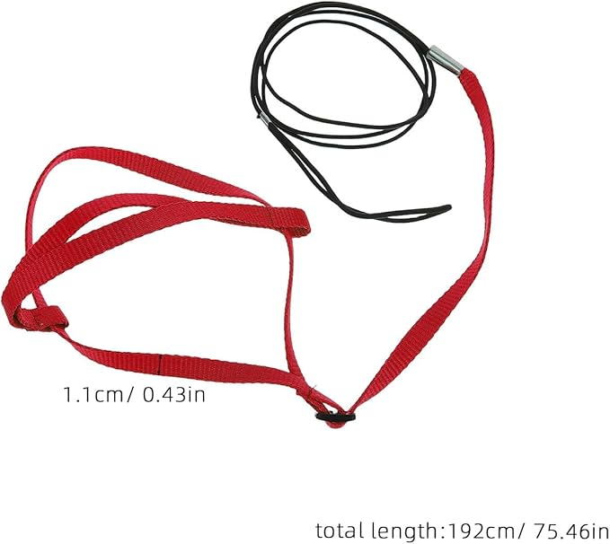 Bird Flight Harness Leash: Adjustable Parrot Flying Rope - Escape-Proof Harness for Pet Birds - Outdoor Training Strap for Parakeets and Small Parrots
