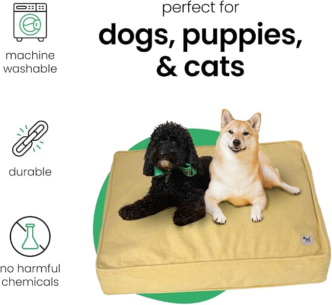 Molly Mutt Elysium Dog Bed Duvet Cover, GOTS-Certified 100% Cotton Canvas Cover for Dog, Puppy, or Cat Bed, Durable, Washable, and Free of Harmful Chemicals, Small, 22"x27"x5", Yellow