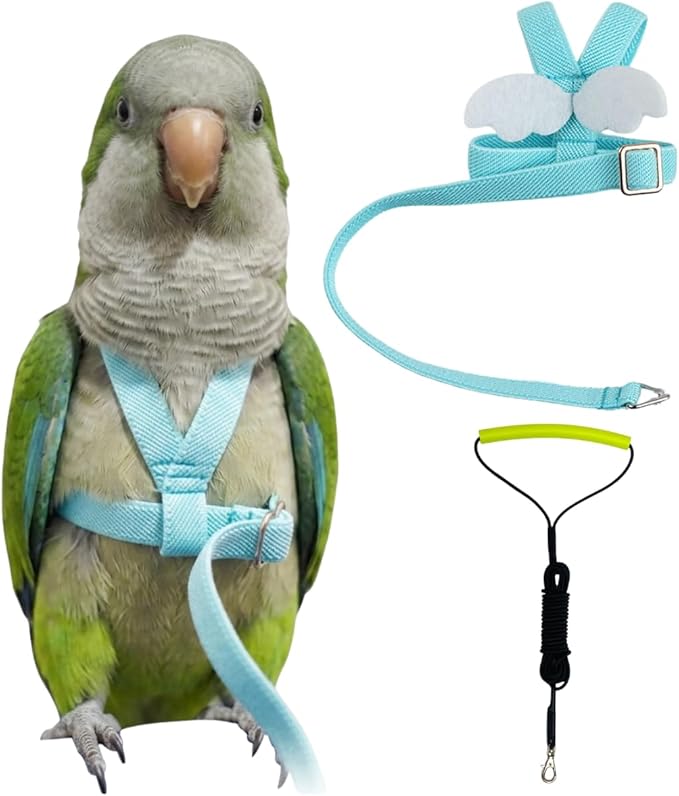 Adjustable Bird Harness with Elastic Leash, Pet Parrot Harness and Leash, Adjustable Training Design Anti-Bite, Bird Nylon Rope with Cute Wing for Conure (Lake Blue,L)