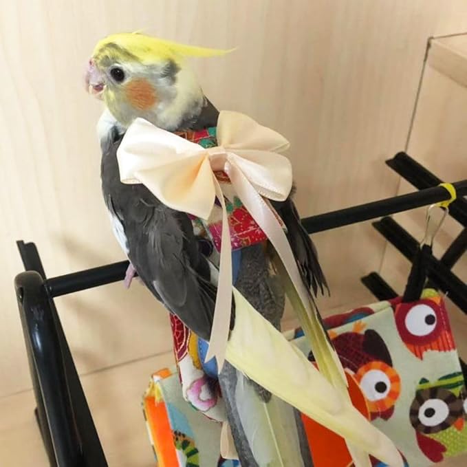 Bird Flight Suits Diapers, Parrot Flight Suits Diapers for Quaker Parakeets Cockatiels Flight Suits, Parrot Clothes (Black,XL)
