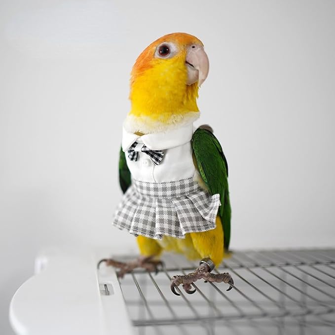 Bird Costume Bird Diaper Flight Suit Cute JK Dress Dress Skirt Clothes Cosplay Photo Prop for Parrots Macaw Cockatoo (with Diaper,Macaw)