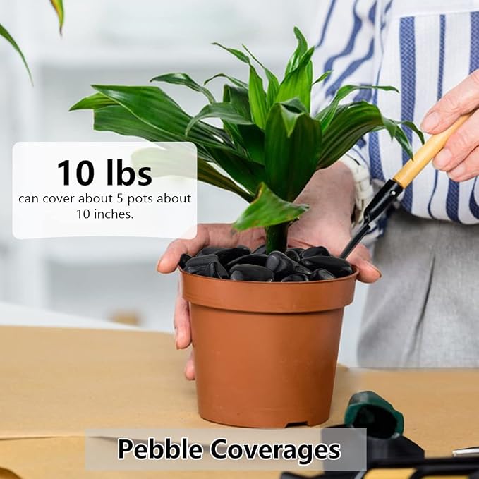 40lbs Black Pebbles Mulch for Landscaping, 1-2 Inch High Polished Natural River Rocks for Plants, Decorative Stones Garden Outdoor and Indoor DIY Vase Filler Fish Tank Aquariums