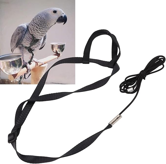 Parrot Harness Leash, Adjustable Buckle Elastic Rope Easy to Wear Convenient String for Cockatiel Lovebird Outdoor Playing Parties (XS)