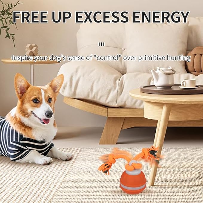 Interactive Dog Toys Dog Ball,Automatic Rolling and Bouncing Moving Dog Toy,Squeaky Rolling Balls with Flashing Light,USB Rechargeable Chew Toys for Puppy Small Dogs, Pet Ball to Keep Them Busy