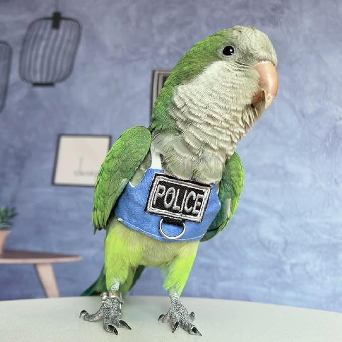 Bird Flight Harness Vest, Parrot Flight Suit with Leash, Bird Flying Clothes with Rope and Handle for Outdoor Activities (Without Leash,Cockatiel) (Without, 4XL)