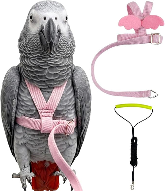 Adjustable Bird Harness with Elastic Leash, Pet Parrot Harness and Leash, Adjustable Training Design Anti-Bite, Bird Nylon Rope with Cute Wing for Conure (Pink,XXL)