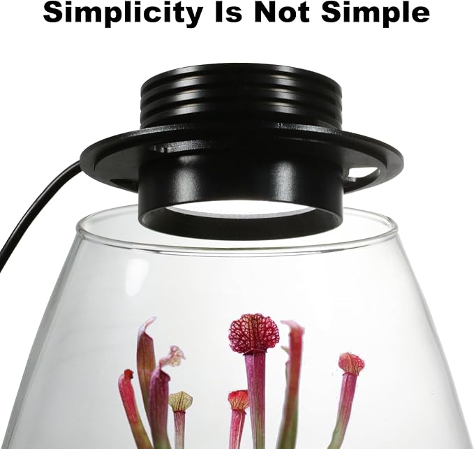 Desktop Glass Plant Terrarium with Grow Light for Carnivorous Plants & Moss | H 7.8 x D 6.7 in; Timer Auto On/Off; For Succulents, Mini Plants and Betta Tanks; Indoor Decor for Home or Office; Gifts