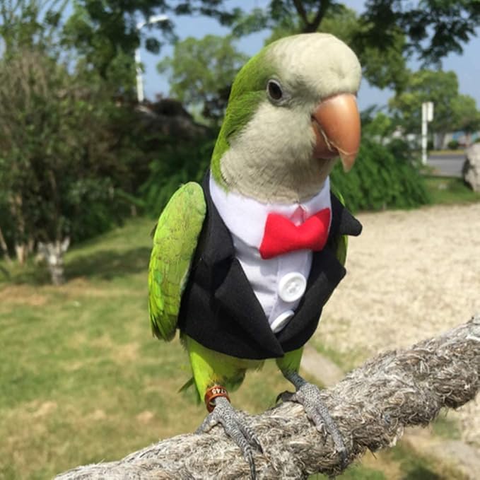 Bird Clothes Birds Flight Suit,Tuxedo Business Suit for Parrots African Greys Parakeet Cockatiel Sun Conure Christmas Party Birthday Cosplay Photo Prop Small Animals Apparel (XL,Black Suit)