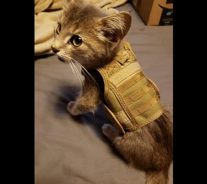 Ferret Clothes Small Animals Harness Military Style Adjustable Shoulder Straps Soft Mesh Comfort Durable Nylon Padded Vest Ferret Guinea Pig Hamster Bunny Kitten Puppy Small Pet Clothes Accessory
