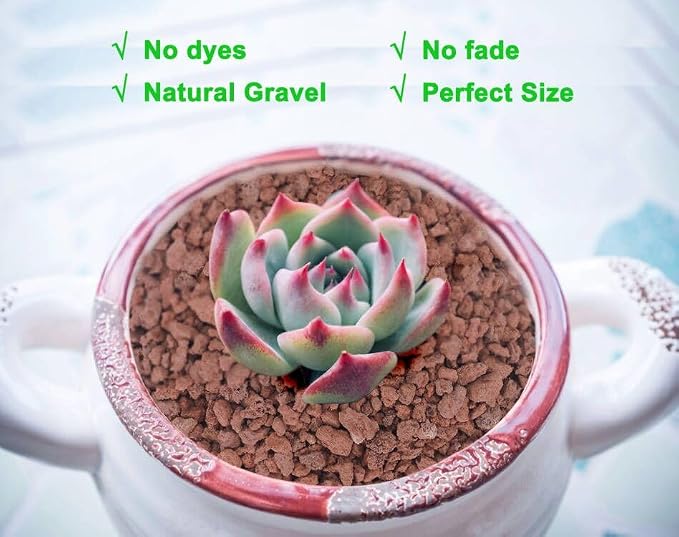 Boniosz 2lb Red Horticultural Lava Rock Soil Additive for Cacti, Vase Fillers, Succulents and Terrarium Plants - No Dyes or Chemicals - 100% Pure Volcanic Rock