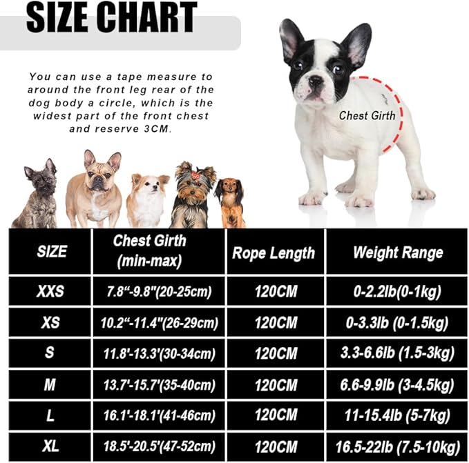 FEimaX Dog Harness and Leash Set for Walking, Soft Mesh Adjustable Easy Control Lightweight Cat Vest Harnesses with Reflective Strips, Escape Proof Small Dogs Cats Vests (Grey, Medium)