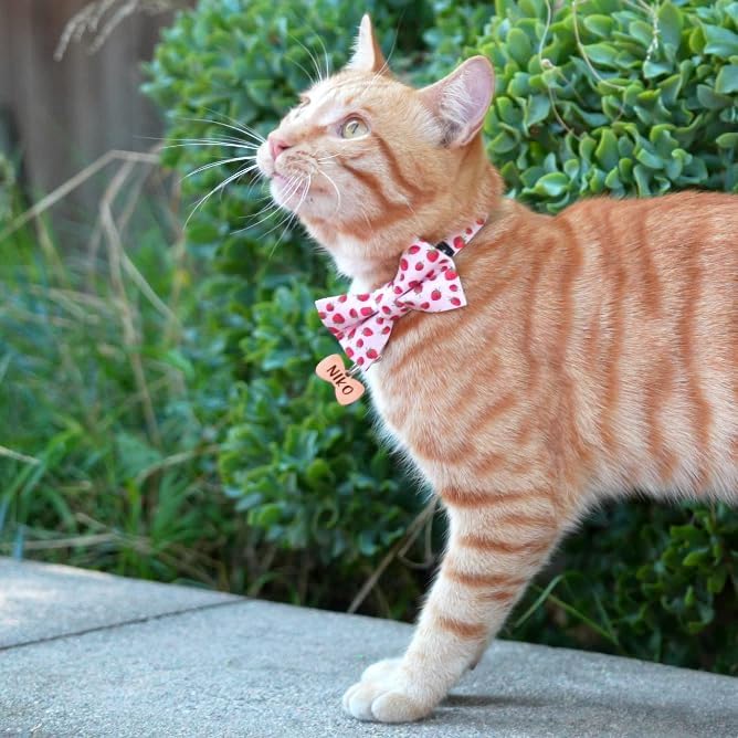 Ultra Joys Breakaway Cat Collar with Bells - Kitten to Large, Boy & Girl Cat Collars with Bandana and Bowtie Strawberry Pattern