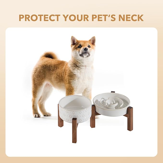 Havniva Elevated Slow Feeder Dog Bowls, 1.2 Cups/7.3 inch Slow Feeders + 6.1 inch Ceramic Dog Food & Water Bowls Set with Acacia Wood Stand Puzzle Bowls for Fast Eater, Small Dogs Anti-Choking