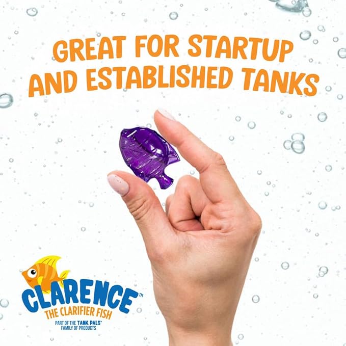 Clarence the Clarifier Fish - 1 pk, Orange - Aquarium Treatment, Clear Cloudy Fresh-Saltwater, Fish-Plant Safe, 10gal Tank Maintenance Each
