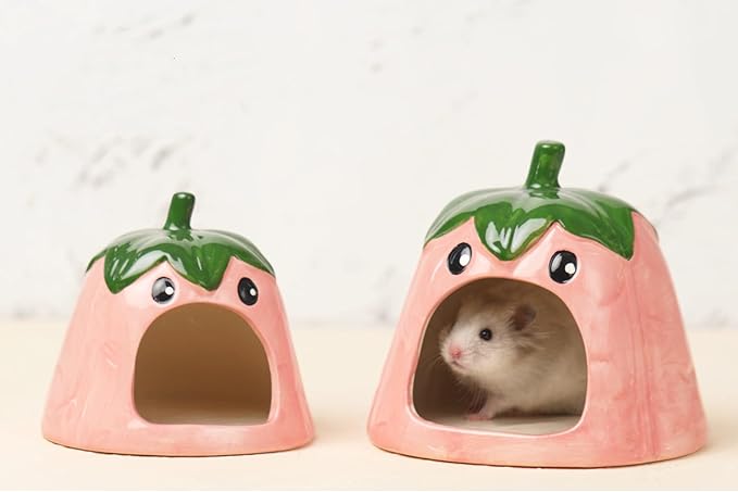 Ceramic Hideout for Hamsters - Fun & Cozy Small Animal Shelter, Cute Eggplant Shape