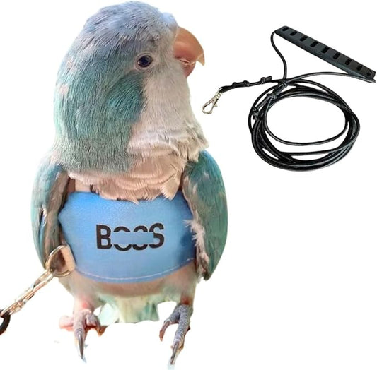 Bird Flight Harness Vest, Parrot Flight Suit with Leash, Bird Flying Clothes with Rope and Handle for Outdoor Activities (XL)