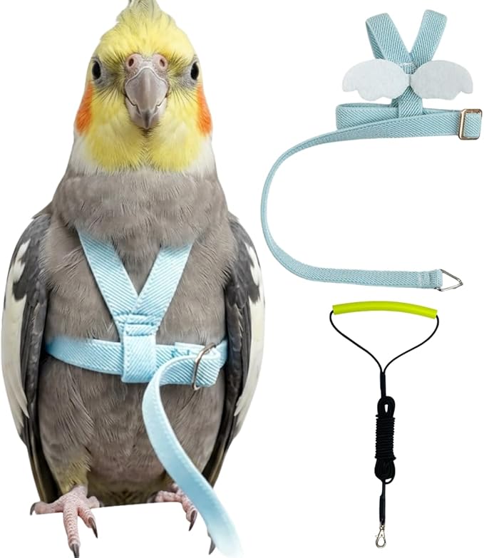 Adjustable Bird Harness with Elastic Leash, Pet Parrot Harness and Leash, Adjustable Training Design Anti-Bite, Bird Nylon Rope with Cute Wing for Conure (Light Blue,2M)