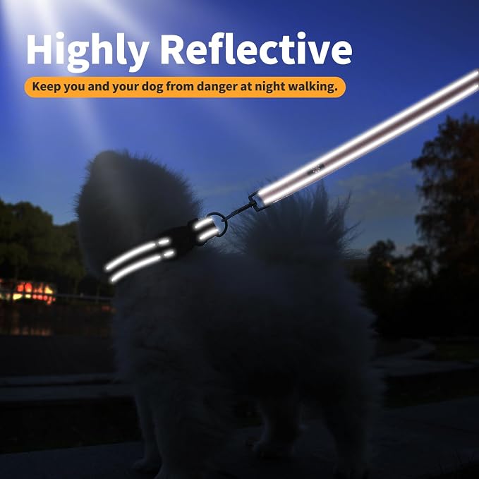 IVY&LANE Reflective Dog Collar and Leash Set,Adjustable Neoprene Padded Dog Collars for Puppy, Breathable Nylon Pet Collar for Small Medium Large Dogs (Medium,Orange)