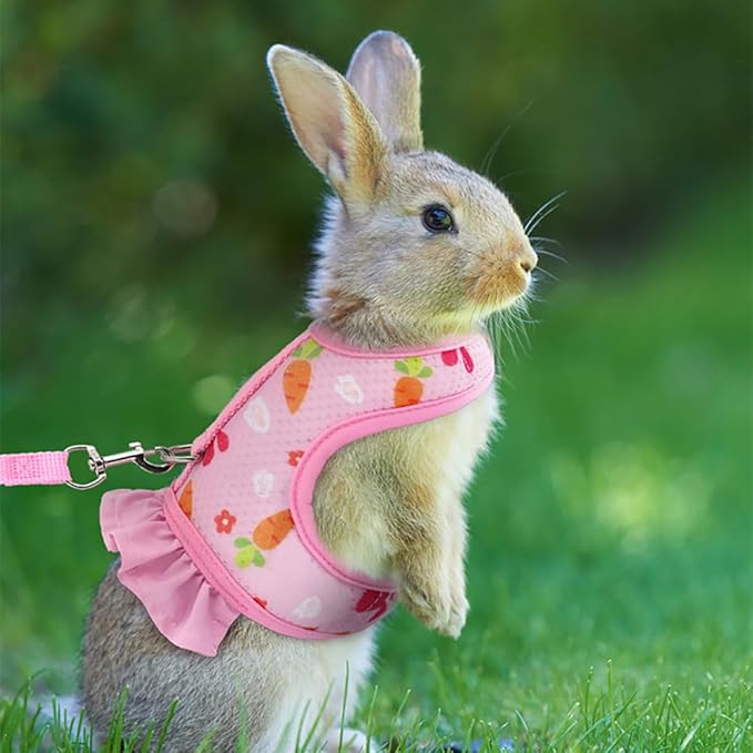 Small Animal Harness Leash & Hat Set - Breathable Mesh, Adjustable Closure - 3 Colors - Escape-Proof Vest for Bunny, Chinchilla, Guinea Pig, Hamster - All-Season