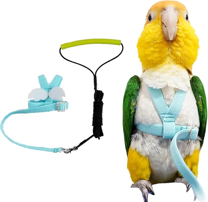 Bird Harness Leash Adjustable Outdoor Training Flying Harness Traction Rope with Cute Wing for Parrots Pigeons Budgerigar Lovebird Cockatiel Mynah (L,Blue)