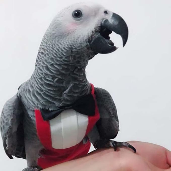 Bird Flight Suits Diapers, Parrot Flight Suits Diapers for Monk Parakeets, Cockatiels Flight Suits, Parrot Clothes, Bird Training Nappy Suit Liners Clothes (Medium,Red)